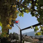 Panorama 3* Selçuk