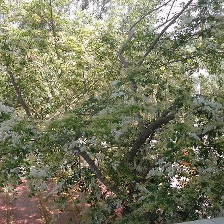 فيلا بانوراما فندق سلجوك