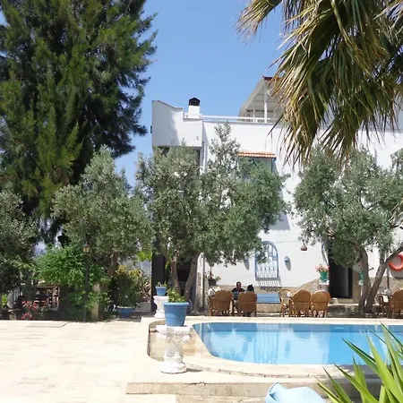 فيلا بانوراما