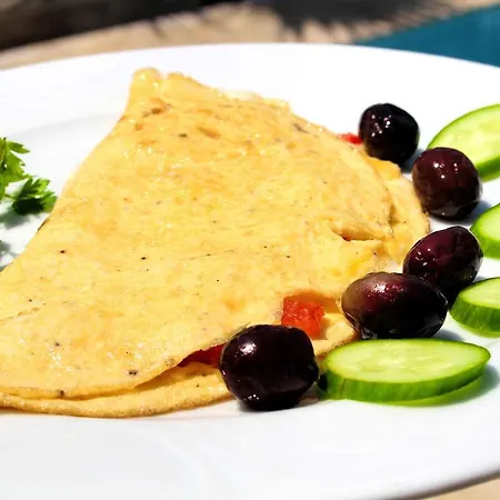 فندق فيلا بانوراما