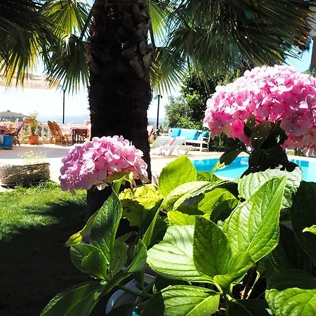 فندق فيلا بانوراما سلجوك