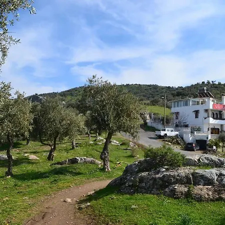 فندق فيلا بانوراما 3*