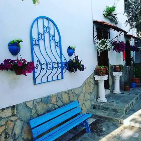 فيلا بانوراما فندق 3*