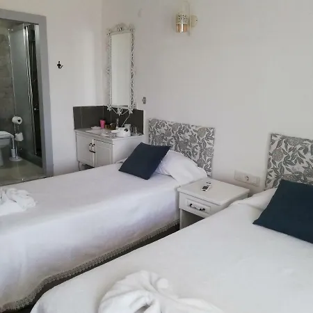 فيلا بانوراما فندق