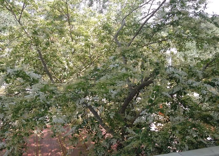 Panorama Отель Сельчук