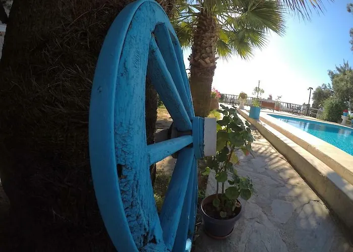 Panorama Сельчук